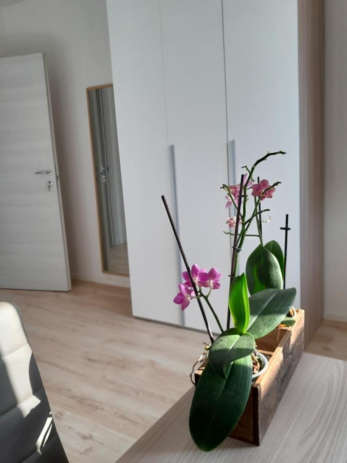 Appartment Lodged Mamma Maria Mattarello Extérieur photo