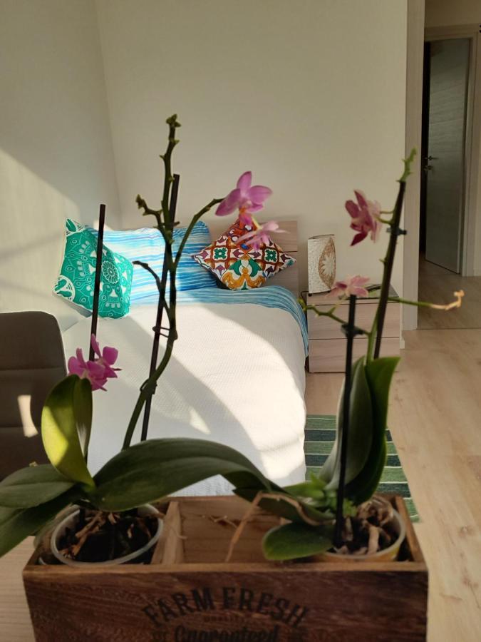 Appartment Lodged Mamma Maria Mattarello Extérieur photo