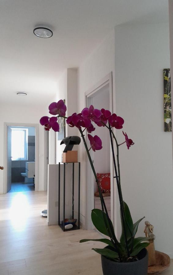 Appartment Lodged Mamma Maria Mattarello Extérieur photo