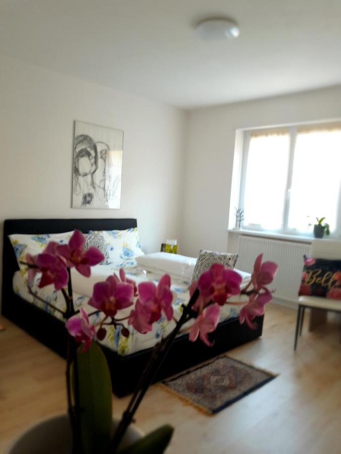 Appartment Lodged Mamma Maria Mattarello Extérieur photo