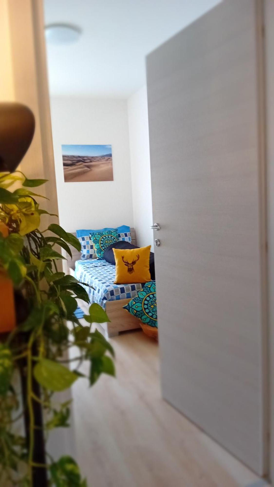 Appartment Lodged Mamma Maria Mattarello Extérieur photo
